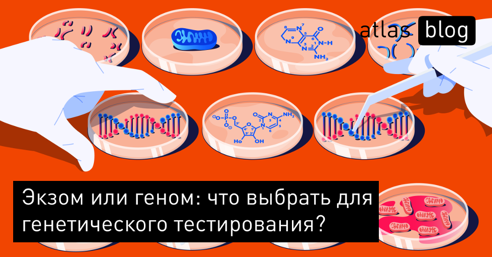 Экзом и геном. Полноэкзомное секвенирование. Полное секвенирование экзома заключение. Экзом от геном чем.