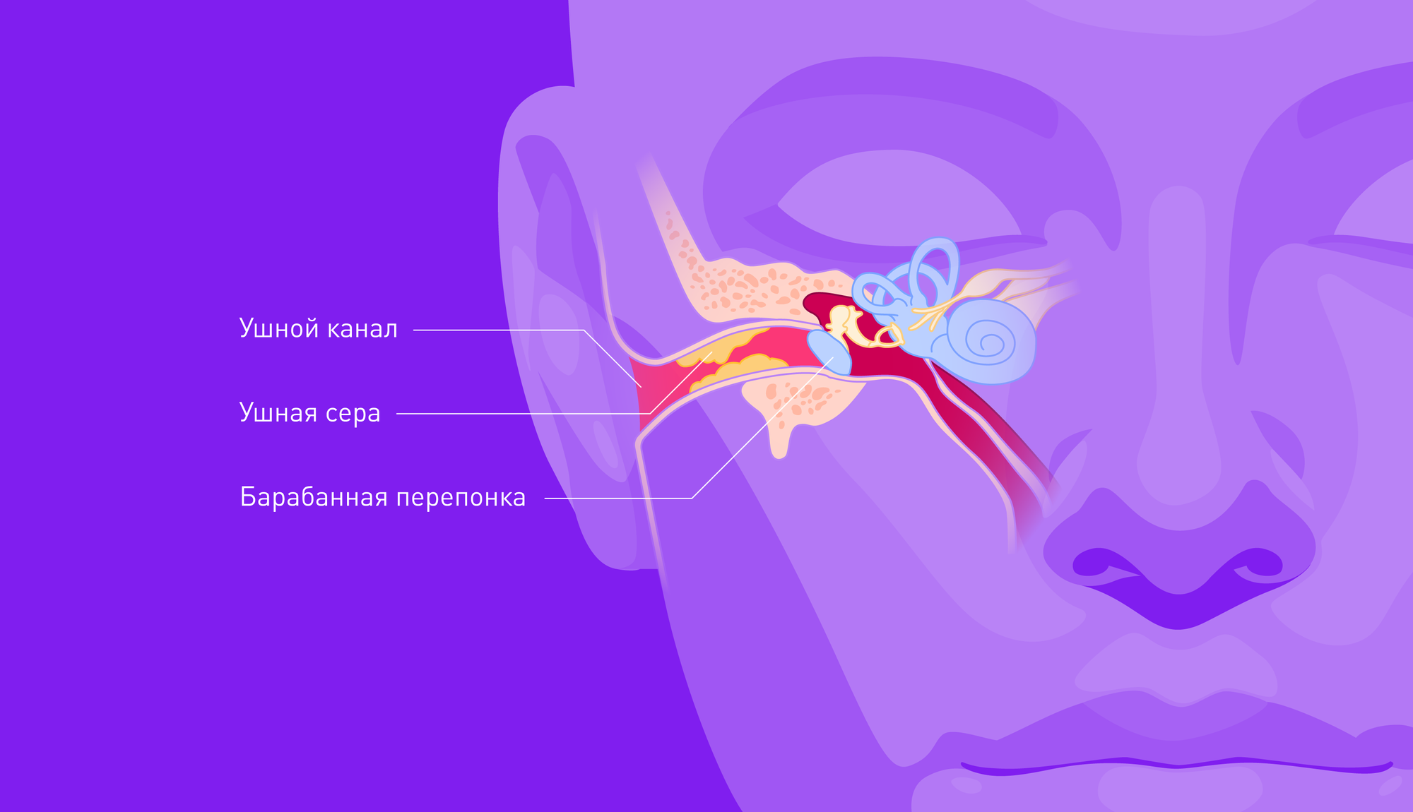Корисні факти про вушну сірку та гігієну слуху