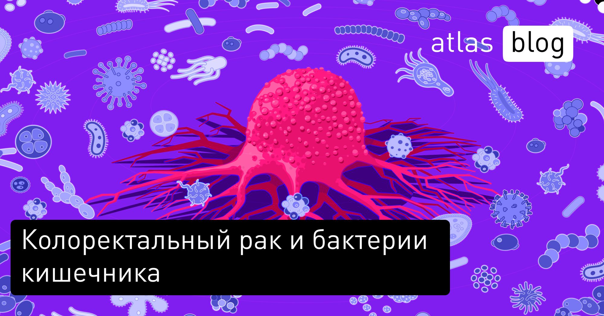 Влияют ли бактерии кишечника на риск развития колоректального рака