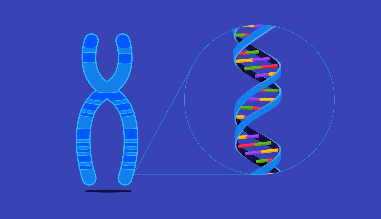 Тесты Атлас ДНК Генетика