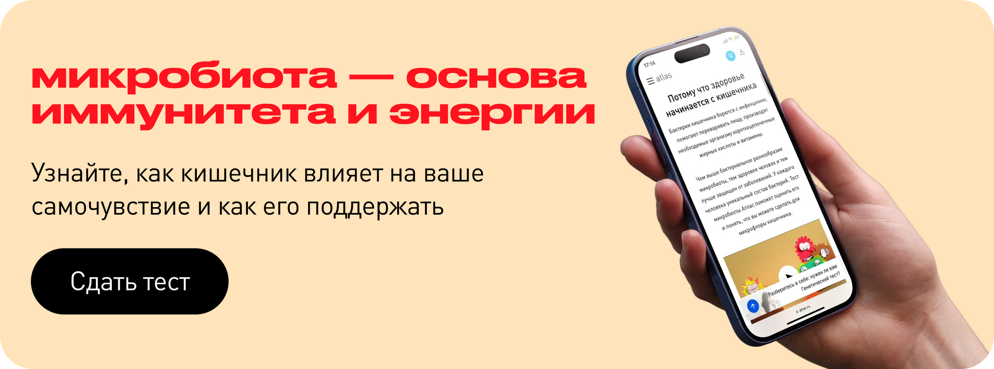 Психобиотики — ключ к ментальному здоровью?