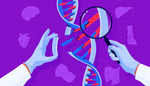 Эпигенетика – над ДНК