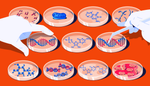 Экзом или геном: что выбрать для генетического тестирования?