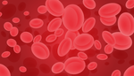 Какая группа крови самая редкая и что такое резус-фактор