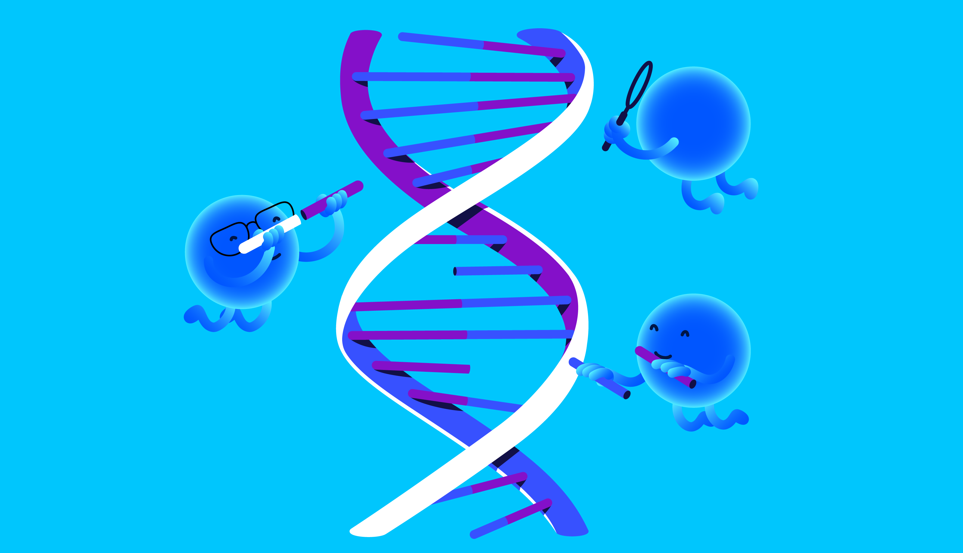 Из чего состоит геном человека?